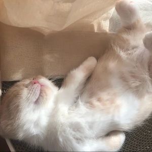 Meet your Posher, Lynn